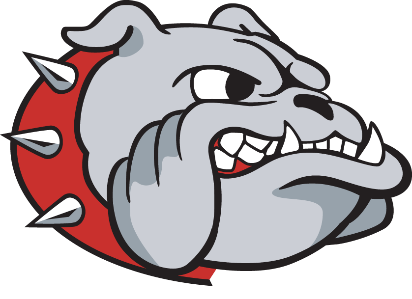 Samford Bulldogs 2000-Pres Secondary Logo diy iron on heat transfer